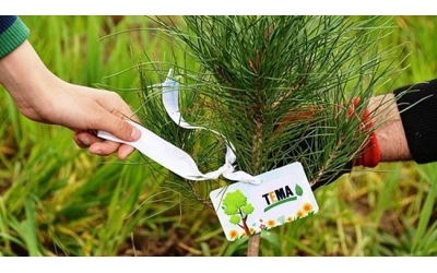 Gel Sen de Doğaya Gönlünü Ver